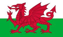 https://cdn.theculturetrip.com/wp-content/uploads/2017/08/welsh-flag.png